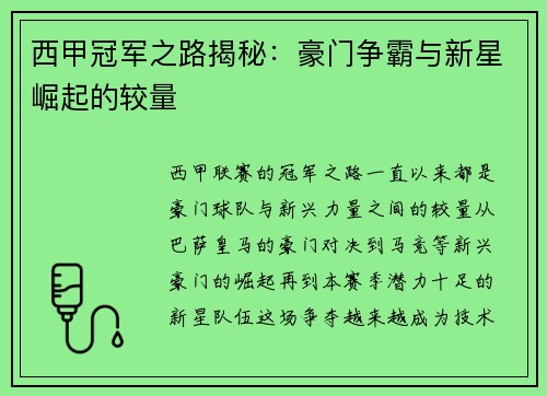 西甲冠军之路揭秘：豪门争霸与新星崛起的较量